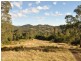 Wingham NSW 2429