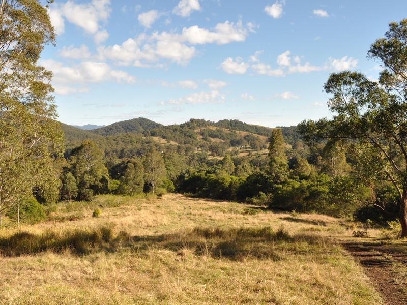 Wingham NSW 2429