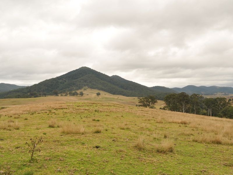 65 Cells Road, Number One NSW 2424