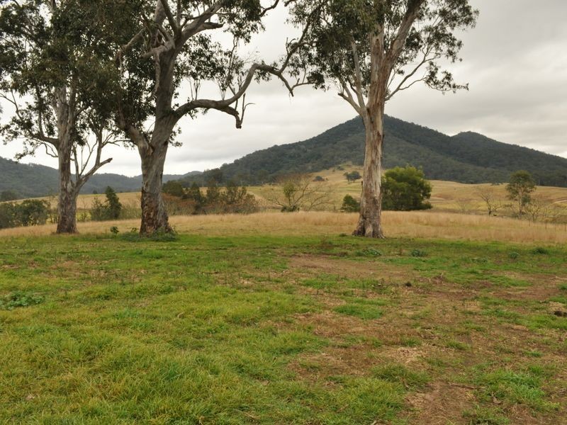 65 Cells Road, Number One NSW 2424