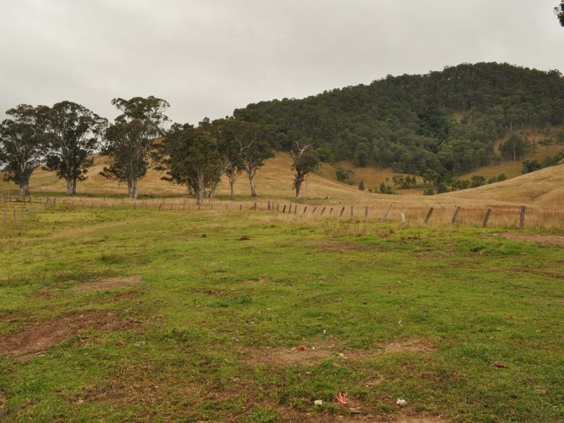 65 Cells Road, Number One NSW 2424