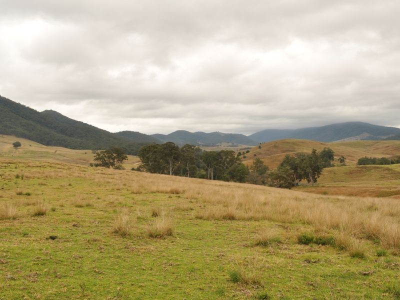 65 Cells Road, Number One NSW 2424