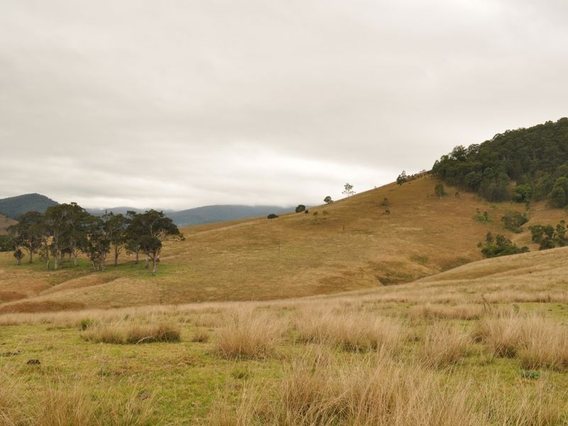 65 Cells Road, Number One NSW 2424