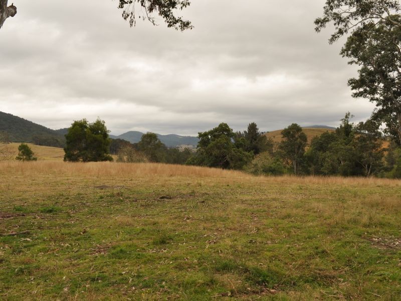 65 Cells Road, Number One NSW 2424