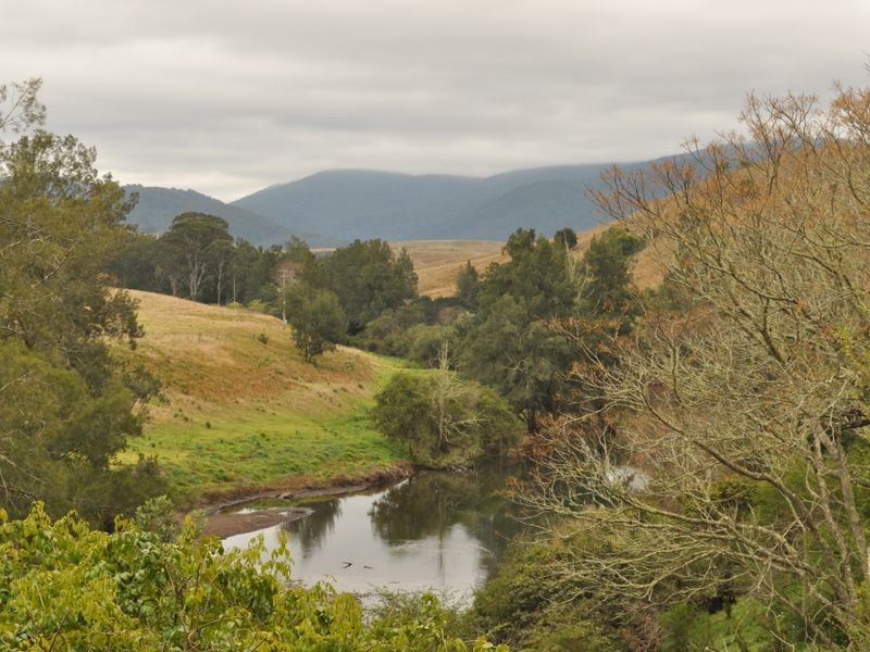 65 Cells Road, Number One NSW 2424