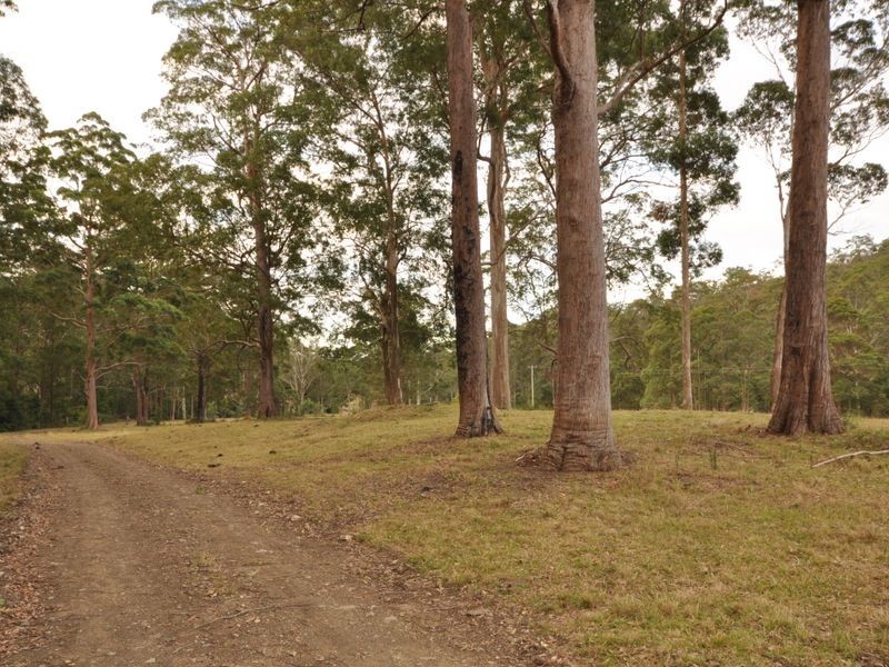 Wherrol Flat NSW 2429