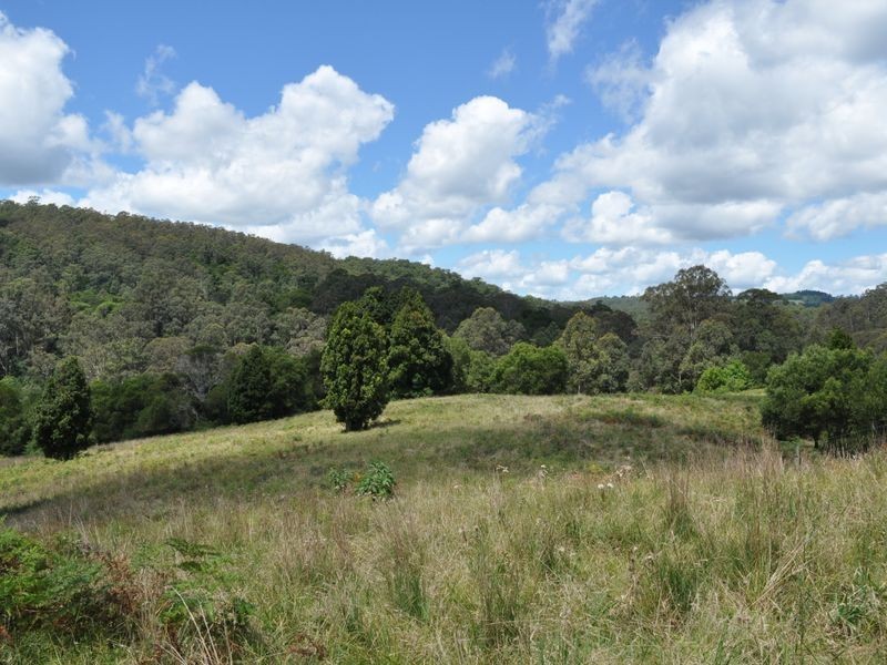 Elands NSW 2429