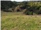 1390 Mooral Creek Road, Wingham NSW 2429