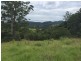 1390 Mooral Creek Road, Wingham NSW 2429