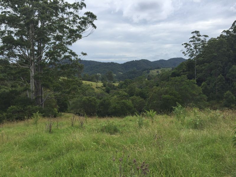 1390 Mooral Creek Road, Wingham NSW 2429