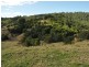 1390 Mooral Creek Road, Wingham NSW 2429