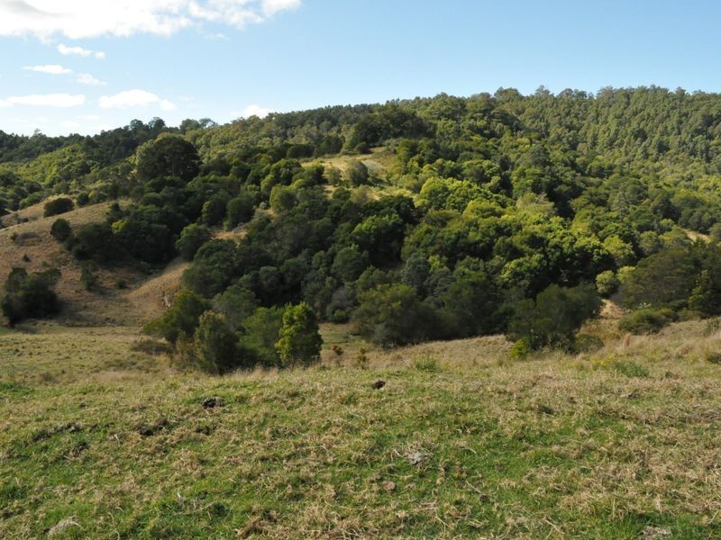 1390 Mooral Creek Road, Wingham NSW 2429