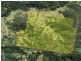 1390 Mooral Creek Road, Wingham NSW 2429