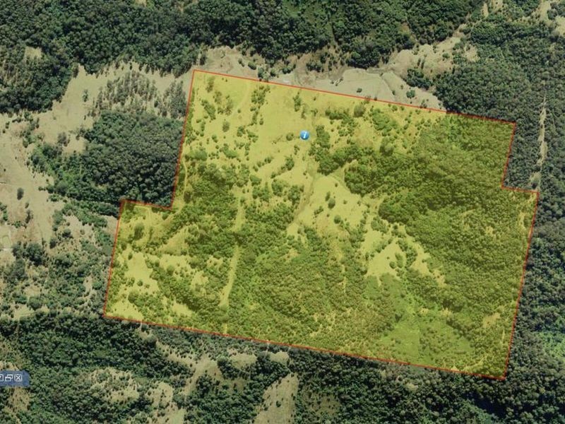 1390 Mooral Creek Road, Wingham NSW 2429