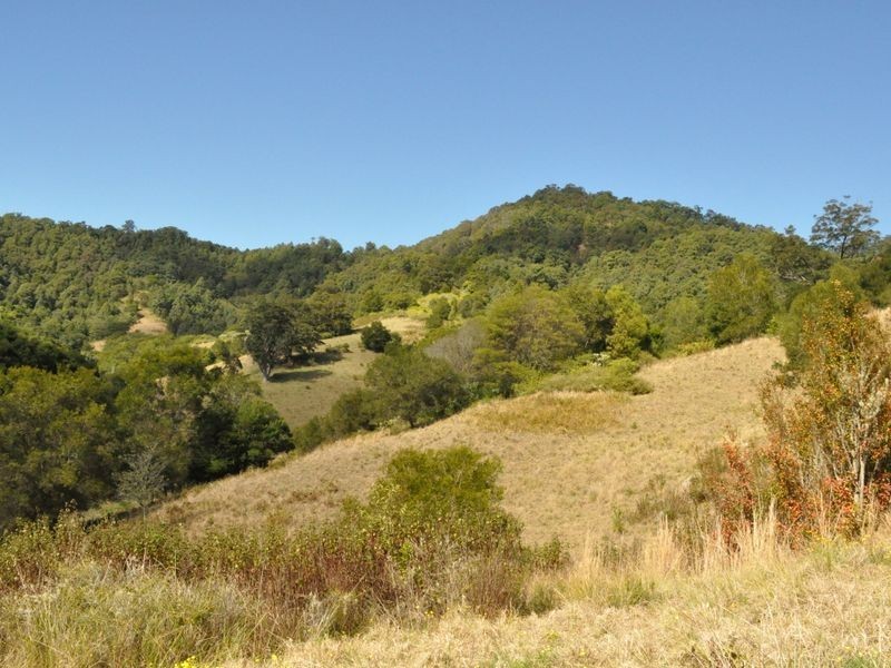 1390 Mooral Creek Road, Wingham NSW 2429