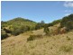 1390 Mooral Creek Road, Wingham NSW 2429
