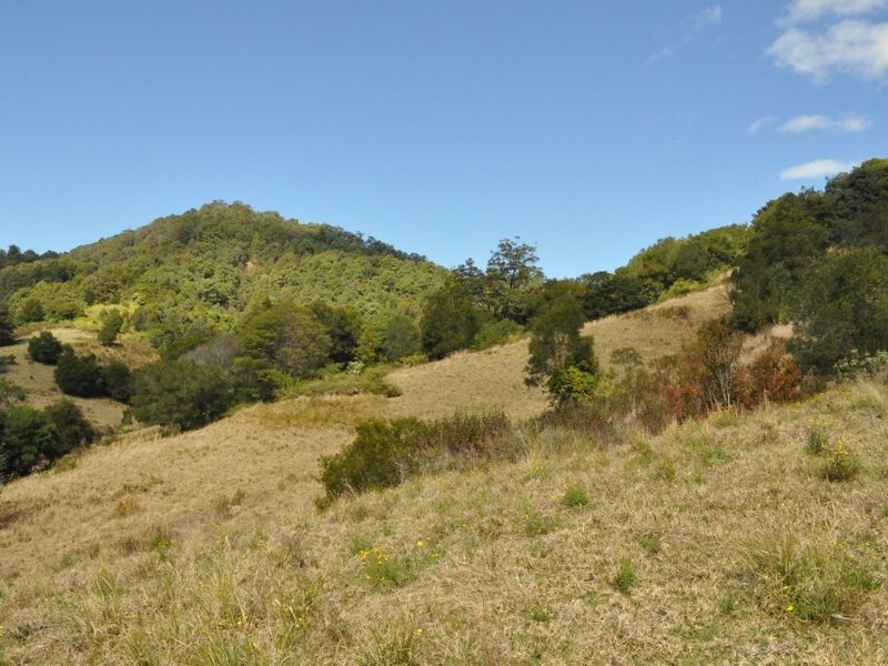 1390 Mooral Creek Road, Wingham NSW 2429