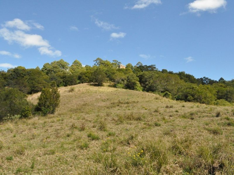 1390 Mooral Creek Road, Wingham NSW 2429
