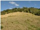 1390 Mooral Creek Road, Wingham NSW 2429
