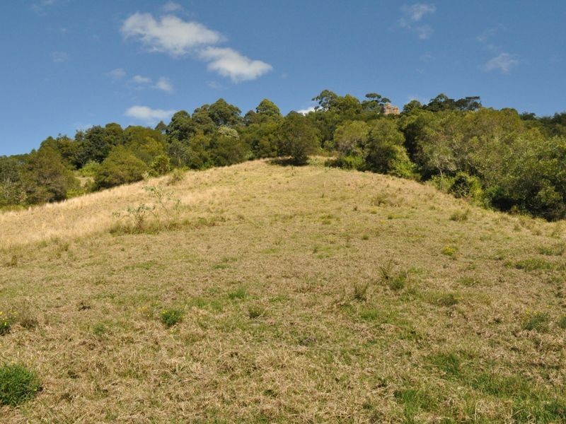 1390 Mooral Creek Road, Wingham NSW 2429