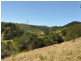 1390 Mooral Creek Road, Wingham NSW 2429