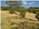 1390 Mooral Creek Road, Wingham NSW 2429