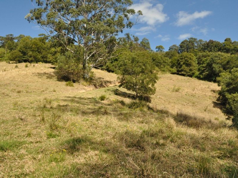 1390 Mooral Creek Road, Wingham NSW 2429