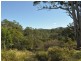 1390 Mooral Creek Road, Wingham NSW 2429