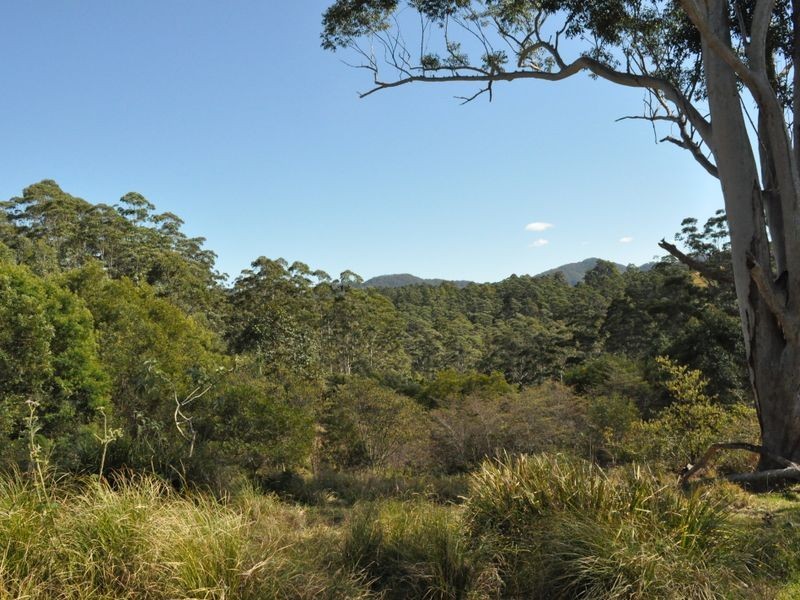 1390 Mooral Creek Road, Wingham NSW 2429