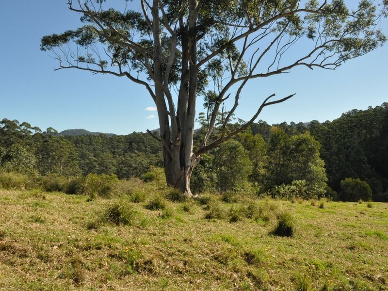 1390 Mooral Creek Road, Wingham NSW 2429