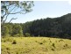 1390 Mooral Creek Road, Wingham NSW 2429