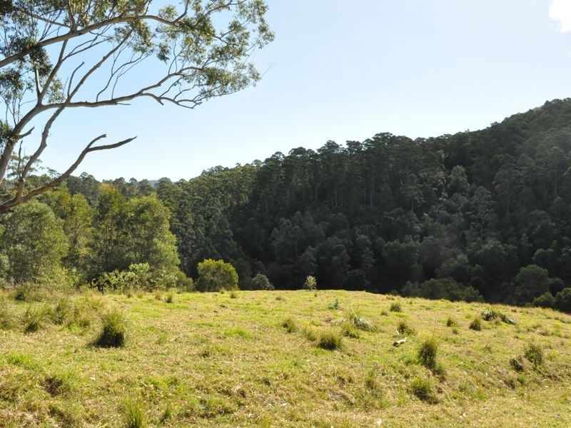 1390 Mooral Creek Road, Wingham NSW 2429