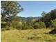 1390 Mooral Creek Road, Wingham NSW 2429