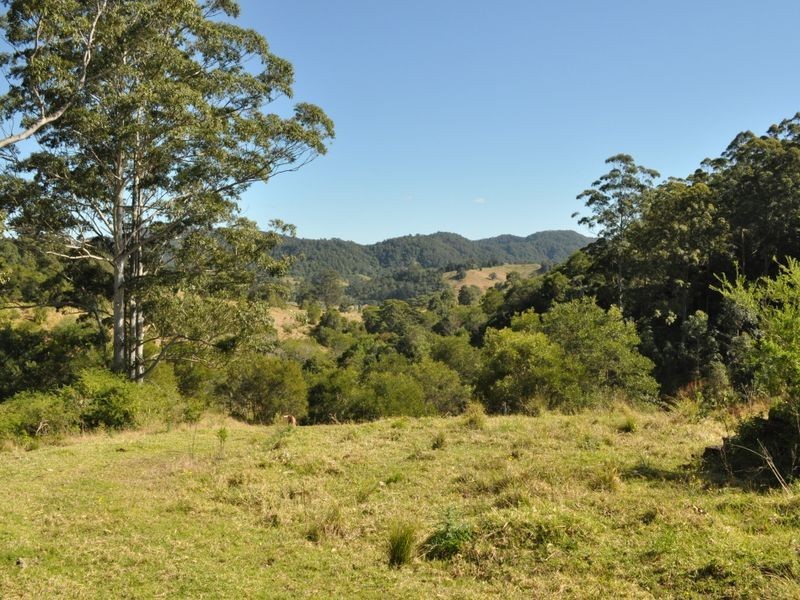 1390 Mooral Creek Road, Wingham NSW 2429