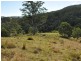 1390 Mooral Creek Road, Wingham NSW 2429