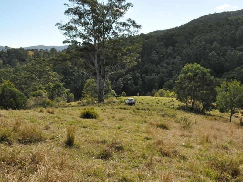 1390 Mooral Creek Road, Wingham NSW 2429