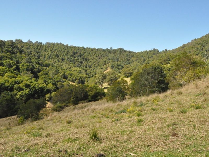 1390 Mooral Creek Road, Wingham NSW 2429