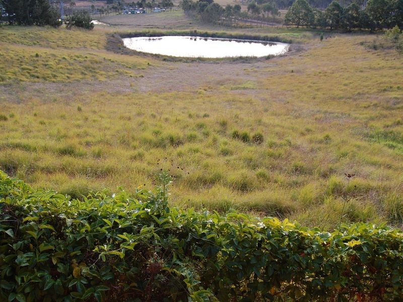 17 Boundary Road, Wingham NSW 2429