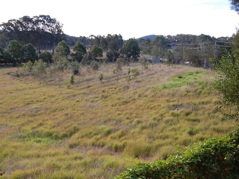 17 Boundary Road, Wingham NSW 2429