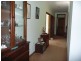 1-3 West Appletree Street, Wingham NSW 2429