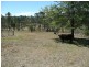 115 Marchfield Road, Wingham NSW 2429