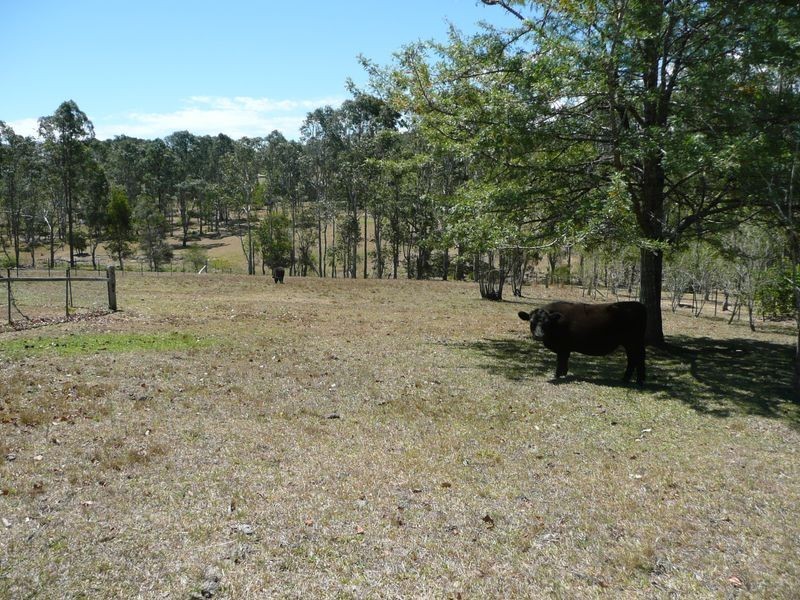 115 Marchfield Road, Wingham NSW 2429