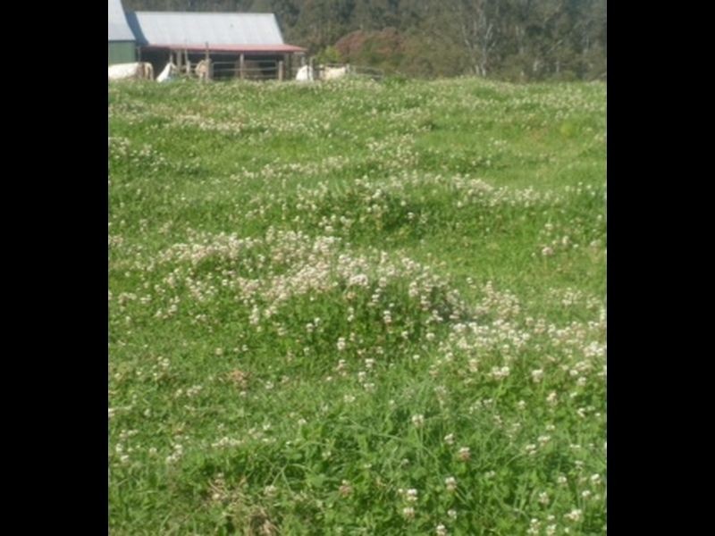 Mooral Creek NSW 2429