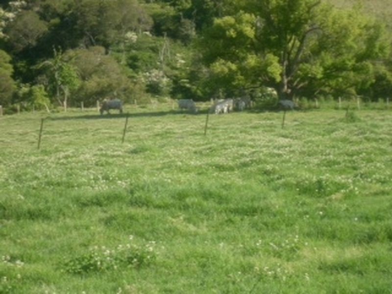 Mooral Creek NSW 2429