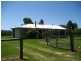 Cedar Party NSW 2429