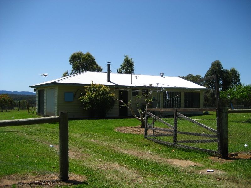 Cedar Party NSW 2429