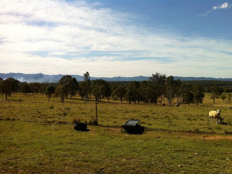 Cedar Party NSW 2429