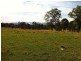 Cedar Party NSW 2429