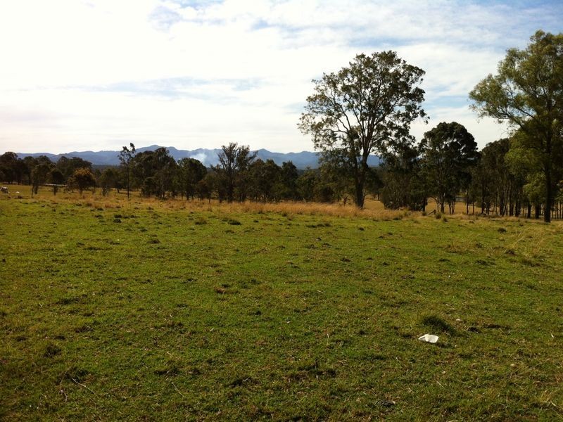 Cedar Party NSW 2429