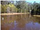 Cedar Party NSW 2429